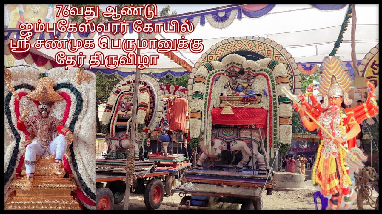 ஸ்ரீ சண்முக பெருமானுக்கு தேர் திருவிழா | கொரட்டூர் ஜம்புகேஸ்வரர் கோயில் Part - 2