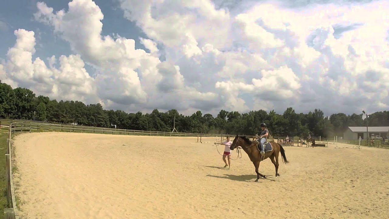 20140627 CarriageFarm Canter