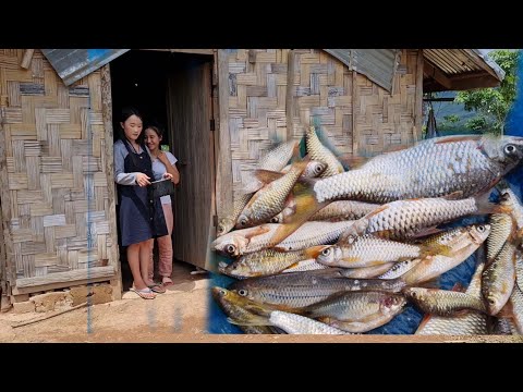 Video: Kab Mob Thiab Kab Tsuag Ntawm Ntoo Qhib (16 Duab): Lawv Kho, Walnut Thiab Galls, Ntoo Thiab Hawk, Kab Mob Ntawm Nplooj, Weevil Thiab Lwm Yam