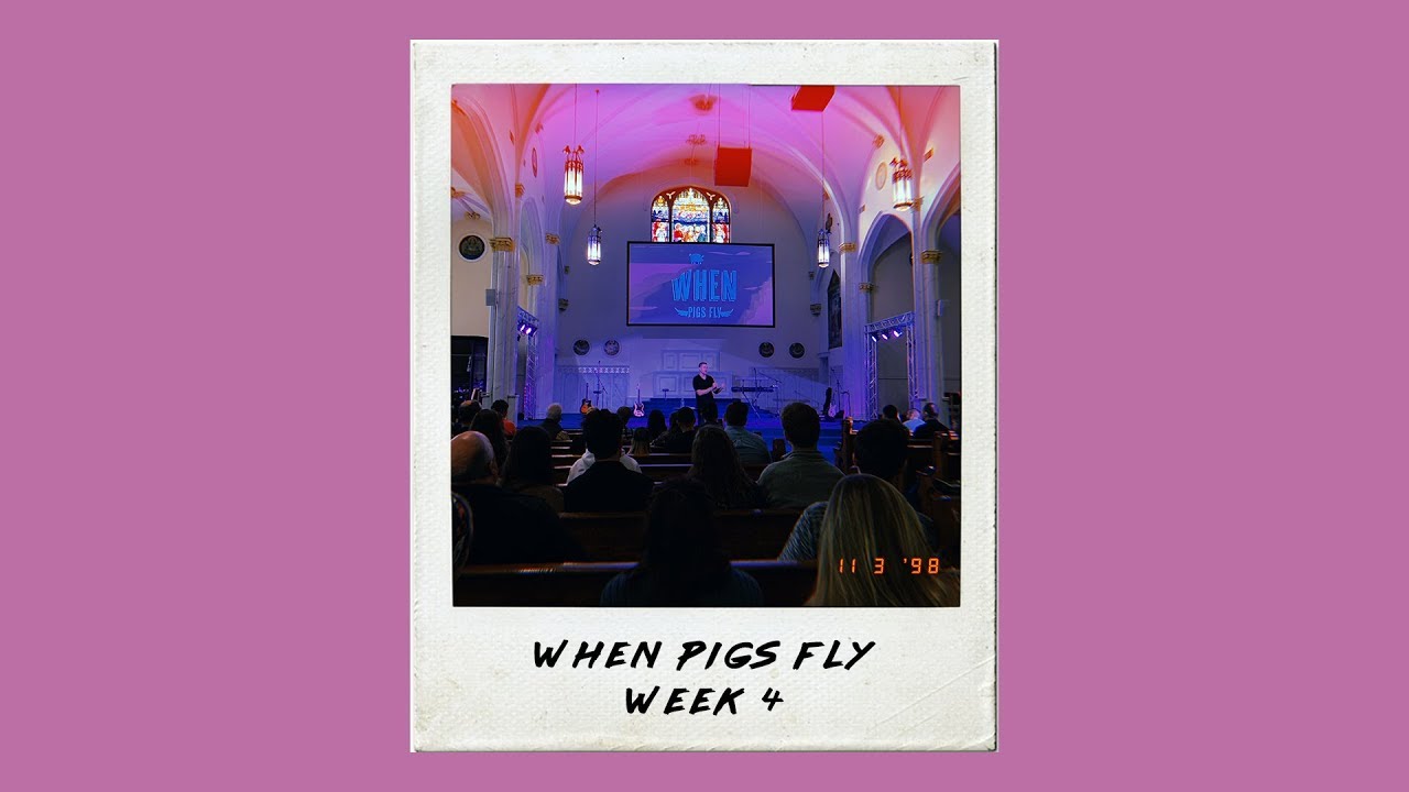 When Pigs Fly: Week 4