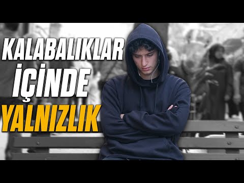 Video: Anatoli Yarışkinin şəkillərində bir pişik həyatı