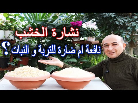 فيديو: المهاد فقط الحدائق - معلومات عن استخدام النشارة في مكان التربة