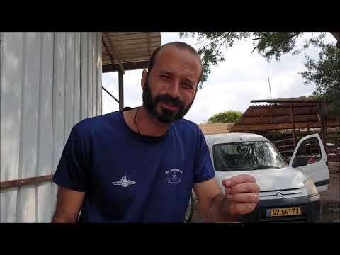 מזון רעב - אוכל אפשרי בנקודה הנמוכה ביותר (כמעט...)