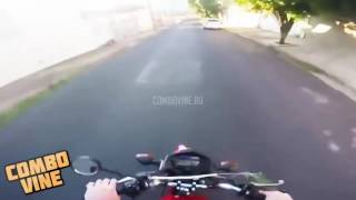 Combo vine