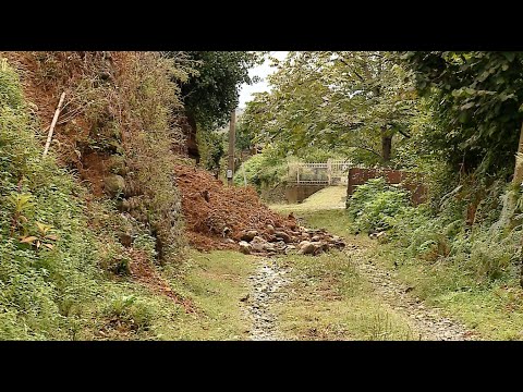 წყალდიდობის შედეგები გურიაში | უყურადღებოდ მიტოვებული მოსახლეობა დახმარებას ითხოვს