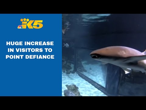 Video: Point Defiance Zoo at Aquarium sa Tacoma WA