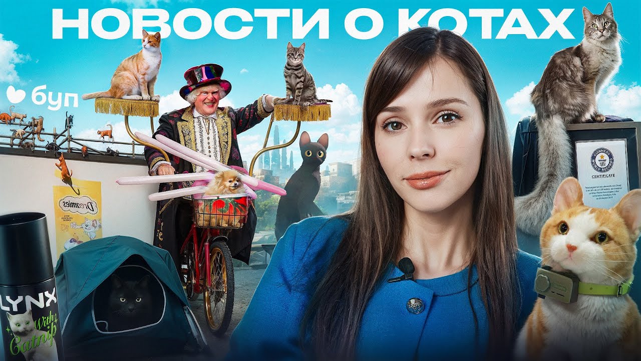 КОШАЧИЙ ВЗГЛЯД | Самые важные и забавные новости о котах | Выпуск №1