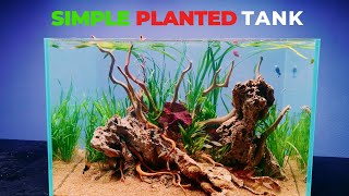 How To Build A Beautiful Planted Tank For Fish Easy For Beginner (Aquascape Tutorial)