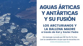 AGUAS ÁRTICAS Y ANTÁRTICAS Y SU FUSIÓN | Los Arcturianos y la Ballena Madre