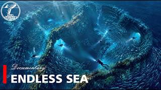 THE OCEAN'S INVISIBLE BORDERS | The Hidden Lines That Divide An Endless Sea