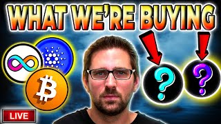 Cryptocurrency Sector to Buy Now!