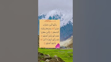 #سورة_محمد #ايات_قرانيه_قصيره #قرآن_كريم #shayari #shotsyoutube #shots #shots_video