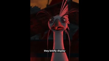 Yin Yang Symbol was Soothsayer