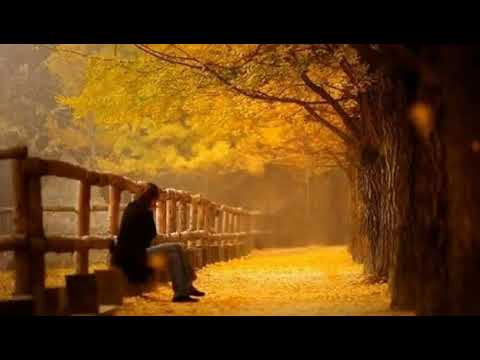 [TJ노래방라운지] 시를위한시 - 이문세