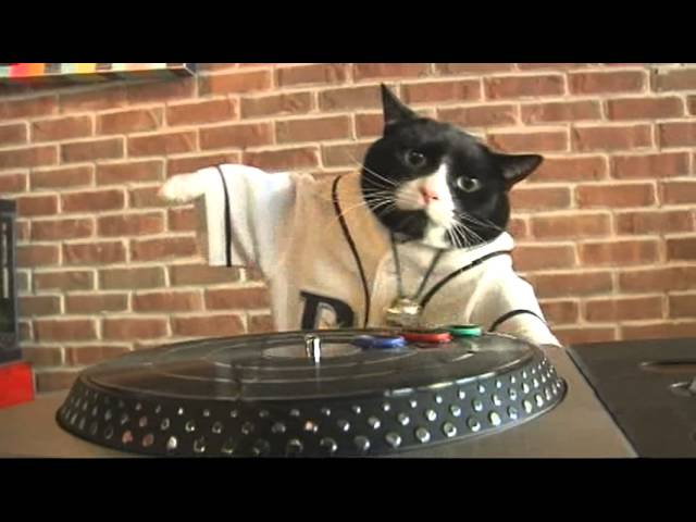 DJ Kitty (@RaysDJKitty) / X