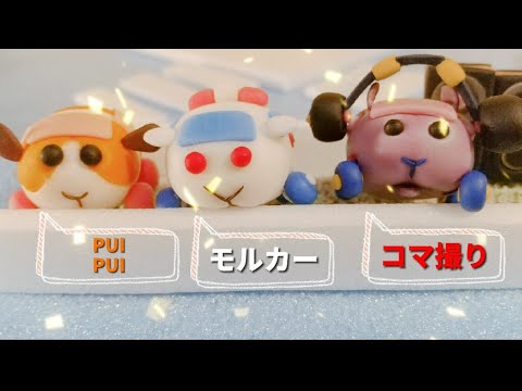 [PUI PUI Molcar]モルカー１話のメンバー達でコマ撮りしてみた!![粘土]天竺鼠車車 分幅摄影 stopmotion play!!