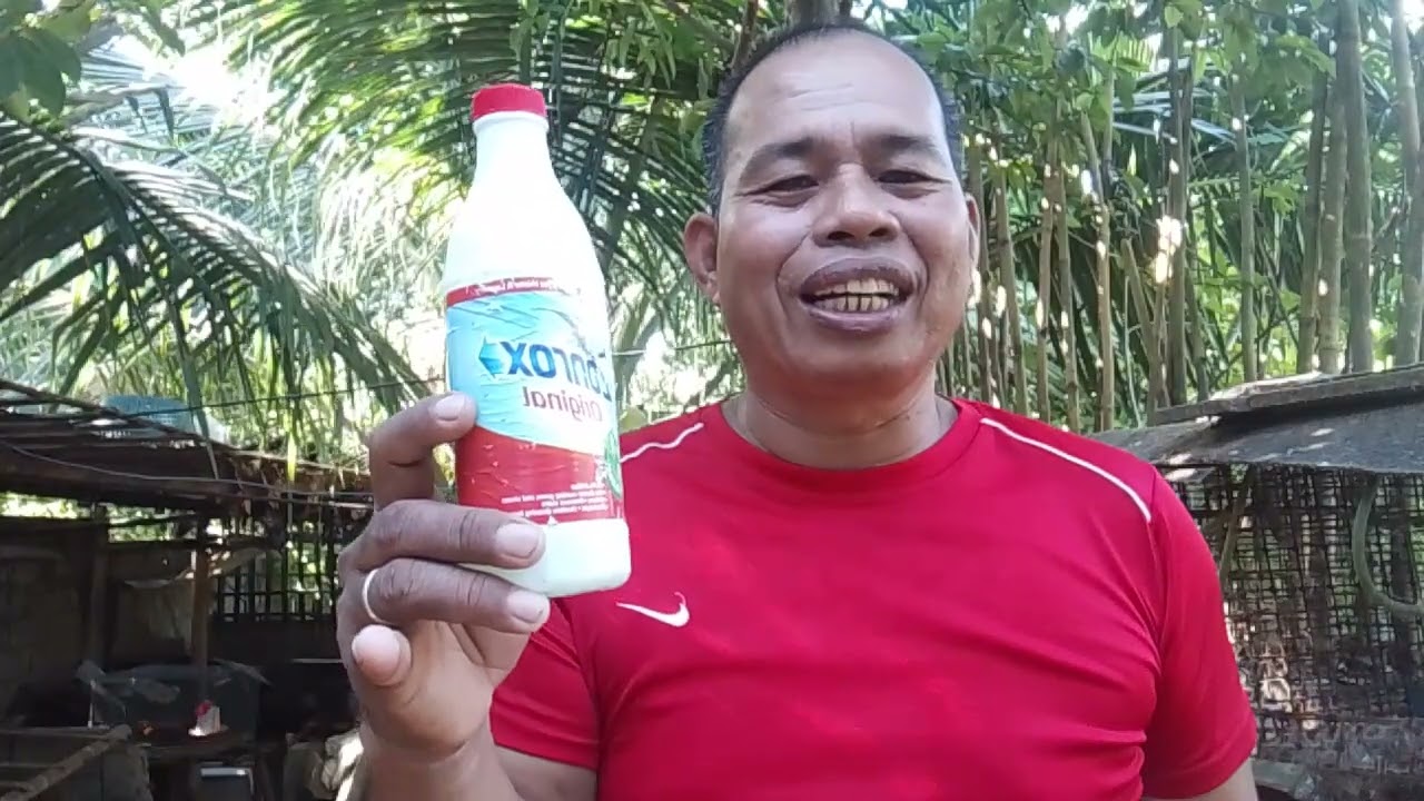 mabisang gamot sa sipon tanggal agad galing agad Ang mga alagang manok