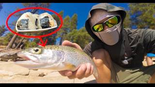 3 Day camping at Shaver Lake! Trout filling RICE BALLS! (CATCH, CLEAN, & COOK)