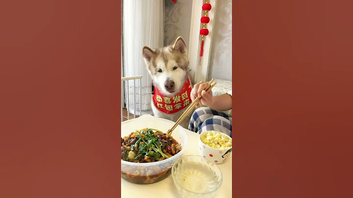 Accessible Communication 😂🐶#shorts #alaskanmalamute #dog - 天天要闻