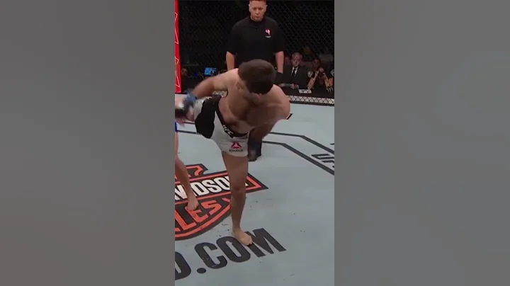 Ryan Hall frustrates Gray Maynard by just  falling...
