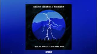 Calvin Harris - This Is What You Came For ft. Rihanna