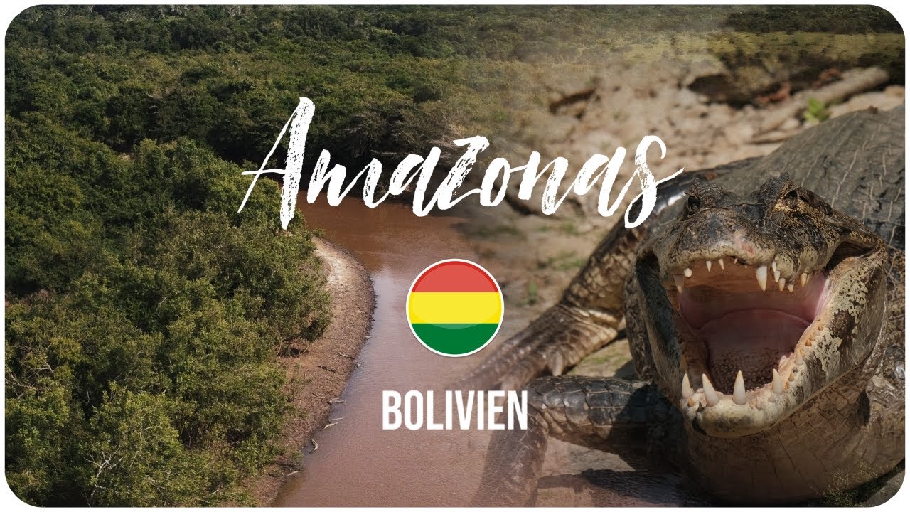 3 Tage im AMAZONAS • BOLIVIEN 4K | Weltreise Vlog #21