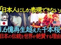 和楽器バンド「千本桜」が1億6千万再生を突破　日本の伝統楽器によるボカロ曲を世界が絶賛し続ける理由【海外の反応】