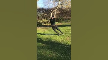 Vibes  black shirt sunglasses guy hangs on tree branch breaks it into his head