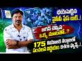 Twist In YCP Facebook Page Blocked🔥 జగన్ ఒక్క మాటతో రంగంలోకి YSRCP ఫ్యాన్స్ || Velugu Tv