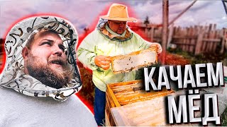 Первая откачка мёда 2020/First honey pumping 2020