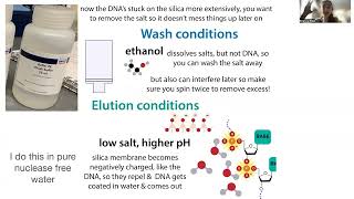 Spin column nucleic acid purification - how it works