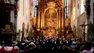 UA Schola Cantorum: "Irish Blessing" at St. Vitus Cathedral