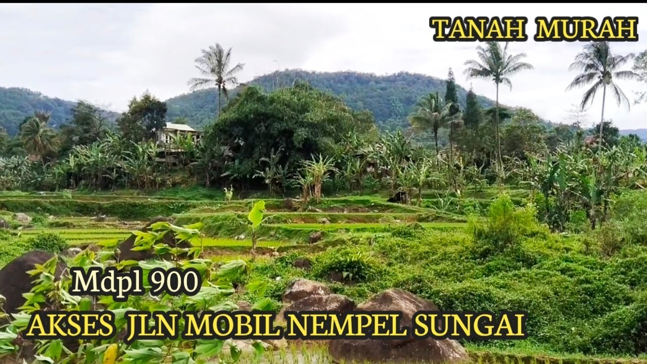 Dijual Tanah Sterategis Nempel Jln Mobil Nempel Sungai  Udara Sejuk Mdpl 900 DiAtas permukaan Laut 
