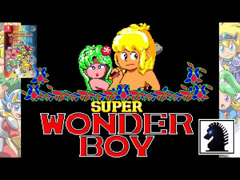 スーパー ワンダーボーイ SEGA MARK III 専用 hqdefault.jpg
