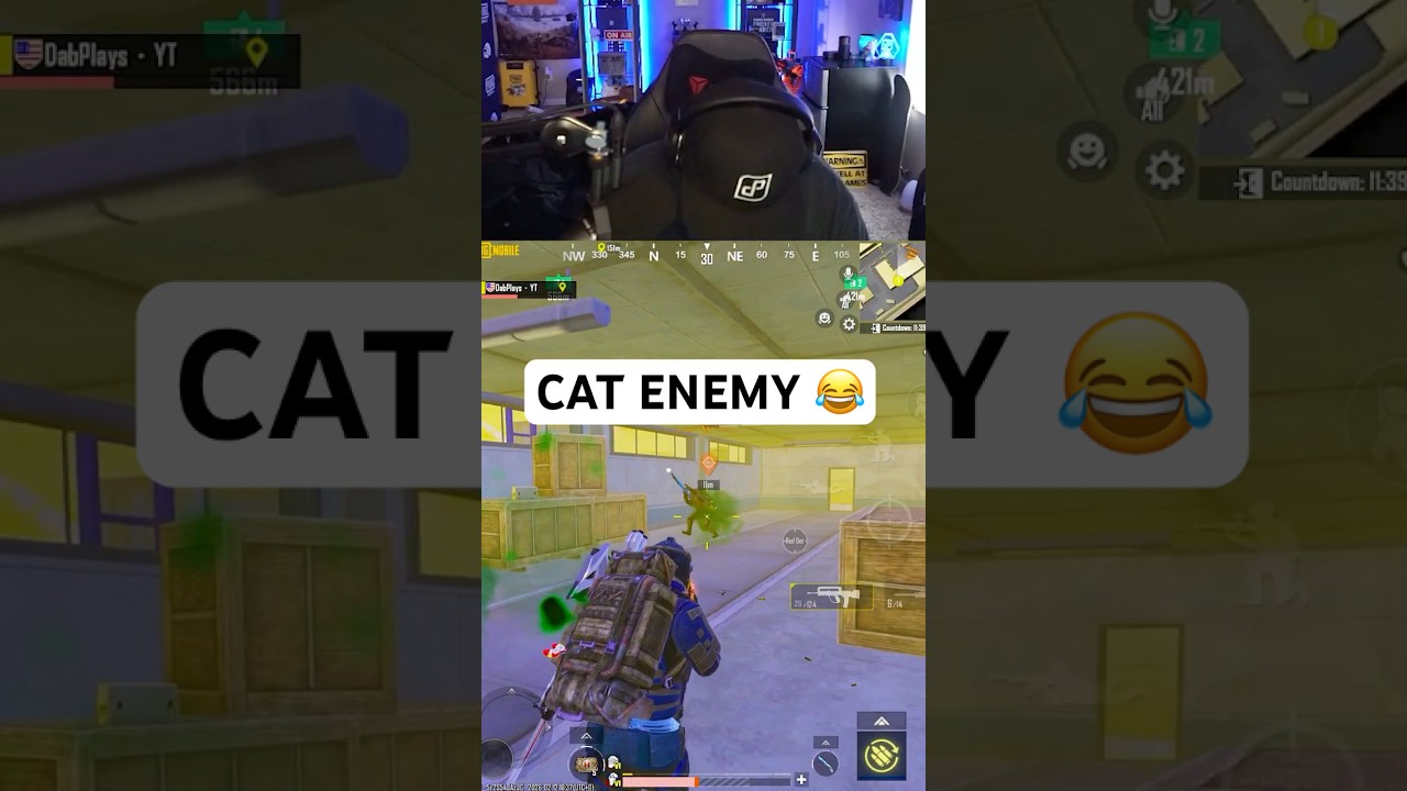 My Enemy Turned into a Cat 🐱