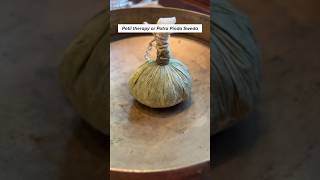 Experience Of Ayurveda In Kerala With This Potli Treatment - Patra Pinda Sweda