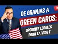 De Granjas Lecheras a Tarjetas Verdes: Descubriendo Caminos Legales con la Visa T