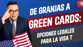 De Granjas Lecheras a Tarjetas Verdes: Descubriendo Caminos Legales con la Visa T