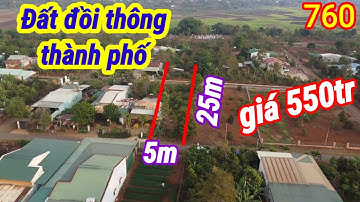 Bán đất đồi thông thành phố.gia  lai 5 x 25   giá 550tr