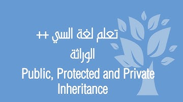 C++ / OOP / Public, Protected & Private Inheritance