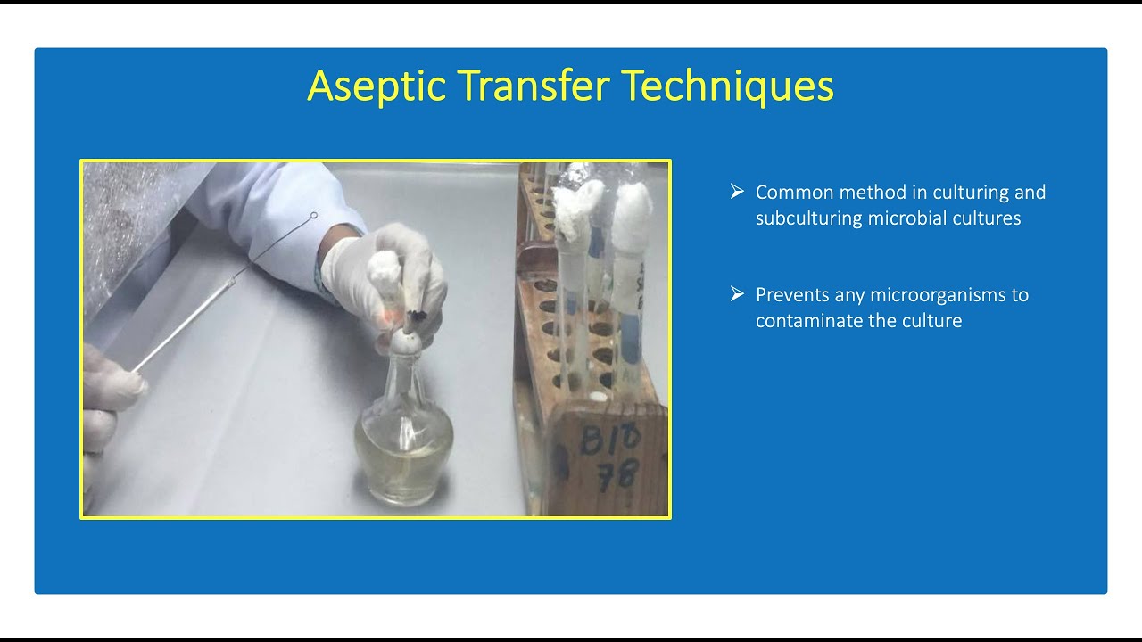 How To Perform Aseptic Transfer Techniques Microbiology YouTube how-to-perform-aseptic-transfer-techniques-microbiology-youtube