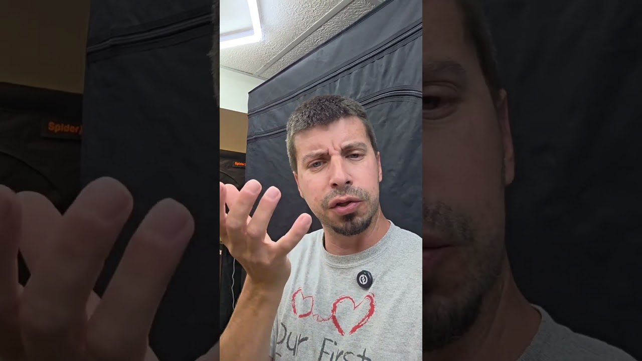 Влажная или сухая стрижка, какая лучше? Я думаю, что лучше сушить весь день.