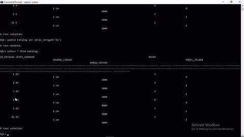 Praktikum Basis Data Modul 2