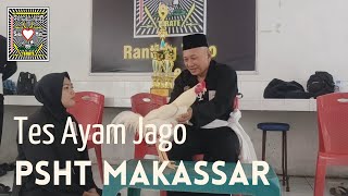 Suasana Tes Ayam Jago Calon Warga Baru PSHT Makassar // Tes Jago PSHT Makassar Tahun 2022