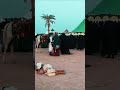 بس فارگ عينك تبدي غربة عيني لايك عليك سيده زينب محضور بس فارگ عينك تبدي غربة عيني لايك عليك سيده زينب محضور