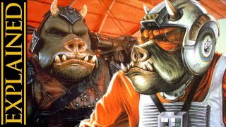 Gamorrean Species Biology, Society, and History