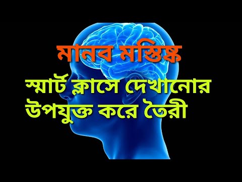 মানব মস্তিষ্ক Human brain in Bengali, Central Nervous System, MP, HS, NEET Biology, manab mostishka