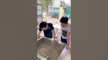 Máy rửa bát sóng siêu âm công nghiệp có sạch và hiệu quả không  #mayruabatsieuam #mayruabat