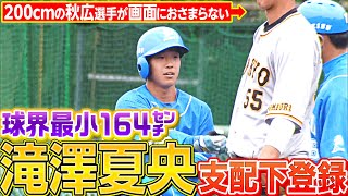 【球界最小】身長164cm・滝澤夏央が支配下登録