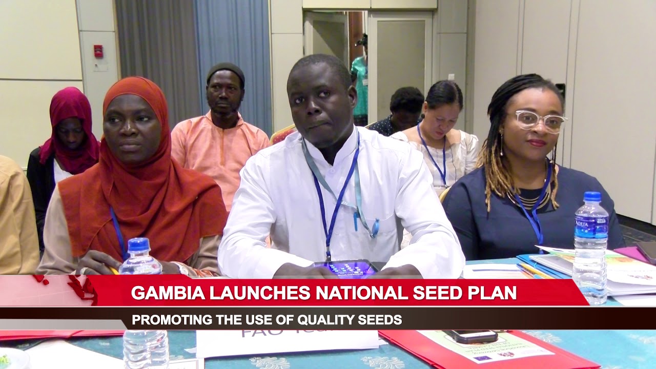 NATIONAL SEED PLAN OF THE GAMBIA - YouTube